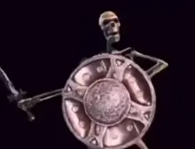 Skeleton shield rahh